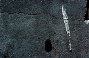 _DSC0389%20(1)