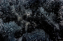 _DSC0391%20(1)