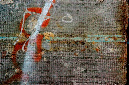 _DSC0406%20(1)
