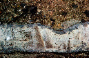 _DSC0409%20(1)