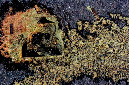 _DSC0414%20(1)