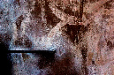 _DSC0419%20(1)