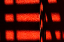 _DSC0429%20(1)