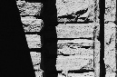_DSC0437%20(1)