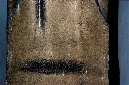 _DSC0450%20(1)