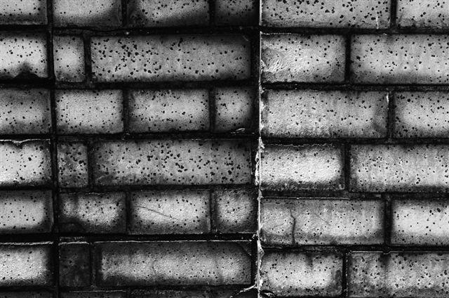 _DSC0456%20(1)