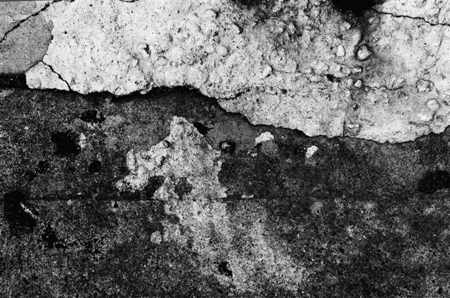 _DSC0473%20(1)