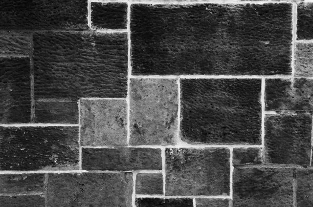 _DSC0503%20(1)