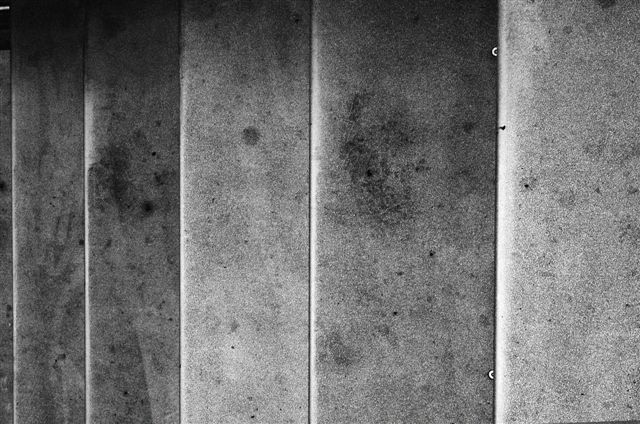_DSC0556%20(1)