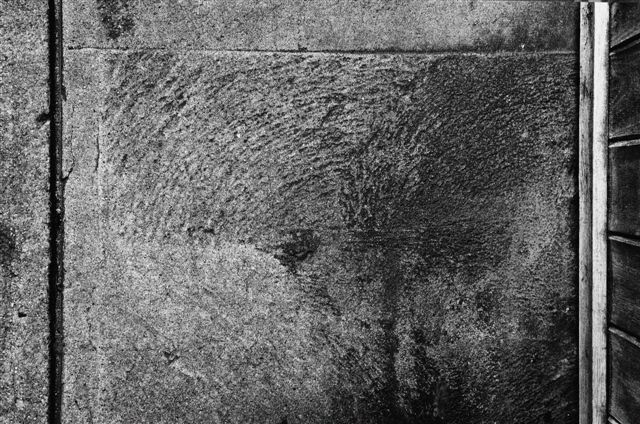 _DSC0570%20(1)