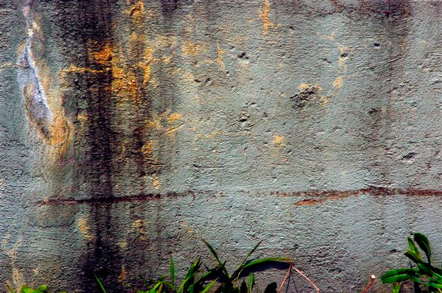 _DSC0646%20(1)