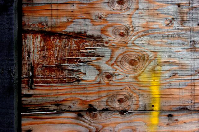 _DSC0650%20(1)