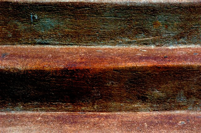 _DSC0693%20(1)