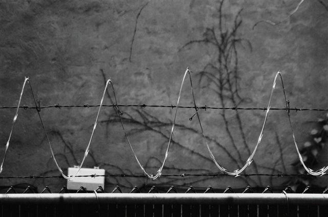 _DSC0733%20(1)