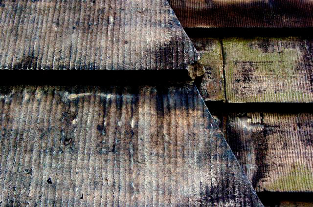 _DSC0803%20(1)