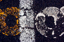 _DSC0454%20(1)