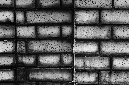 _DSC0456%20(1)