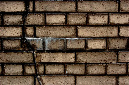 _DSC0458%20(1)