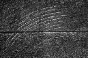 _DSC0464%20(1)