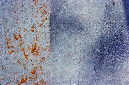 _DSC0467%20(1)