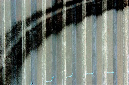 _DSC0469%20(1)