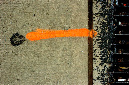 _DSC0476%20(1)