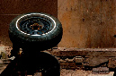 _DSC0487%20(1)