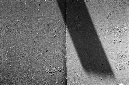 _DSC0520%20(1)
