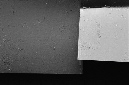 _DSC0522%20(1)