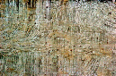 _DSC0554%20(1)