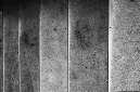 _DSC0556%20(1)