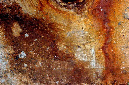 _DSC0560%20(1)