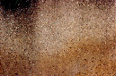 _DSC0563%20(1)