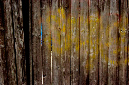 _DSC0565%20(1)