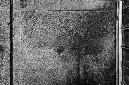 _DSC0570%20(1)