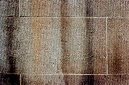 _DSC0579%20(1)
