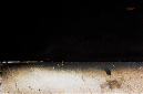 _DSC0586%20(1)