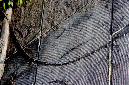 _DSC0627%20(1)