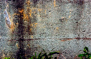 _DSC0646%20(1)