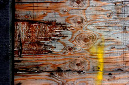 _DSC0650%20(1)