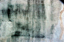 _DSC0665%20(1)