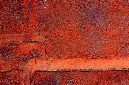 _DSC0676%20(1)