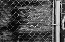 _DSC0711%20(1)