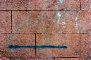 _DSC0716%20(1)