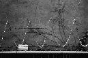 _DSC0733%20(1)