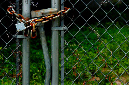 _DSC0743%20(1)