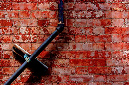 _DSC0794%20(1)