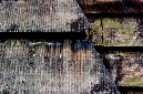 _DSC0803%20(1)