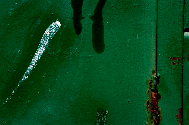 _DSC0819%20(1)