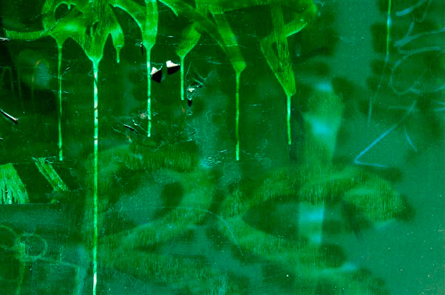 _DSC0845%20(1)